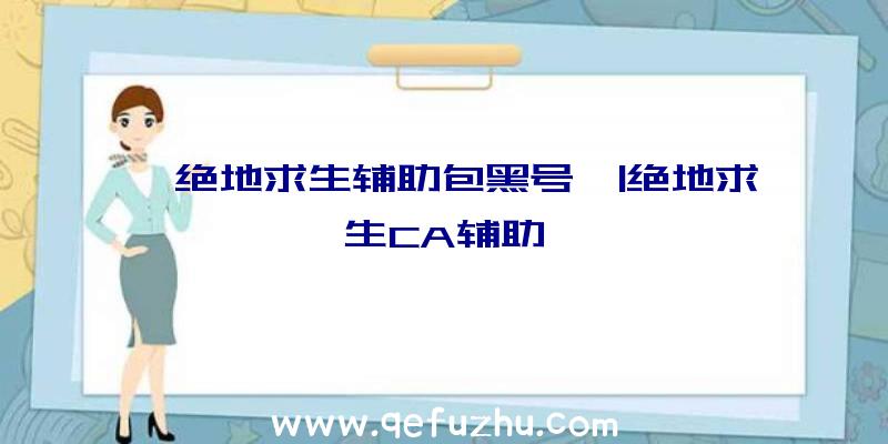 「绝地求生辅助包黑号」|绝地求生CA辅助